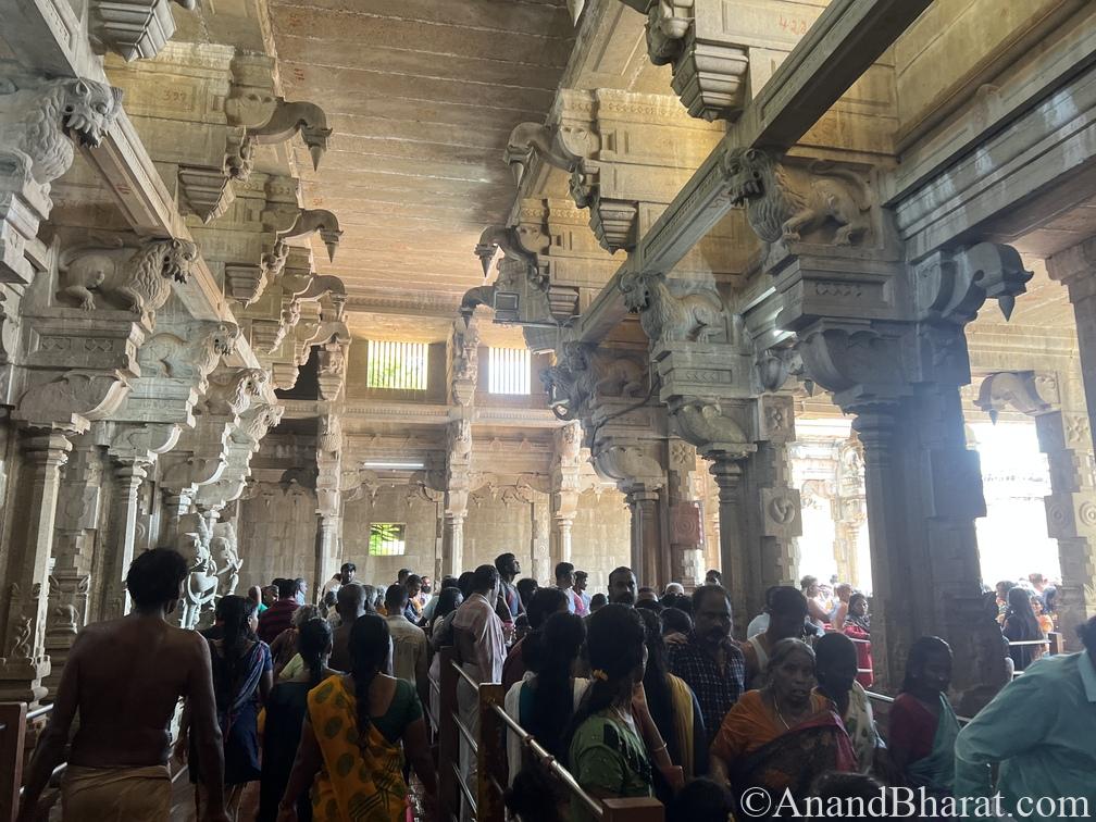 The crowd for darshan